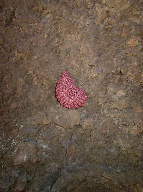 Collar Nautilus